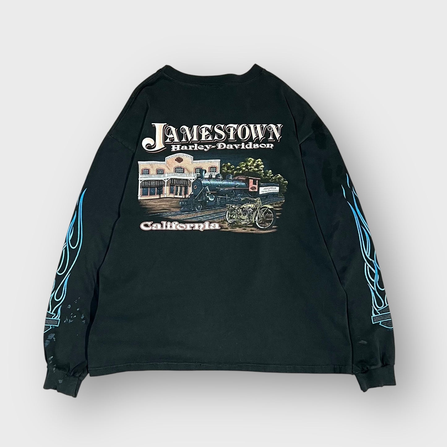 90’s “HARLEY DAVIDSON” frame pattern l/s t-shirt