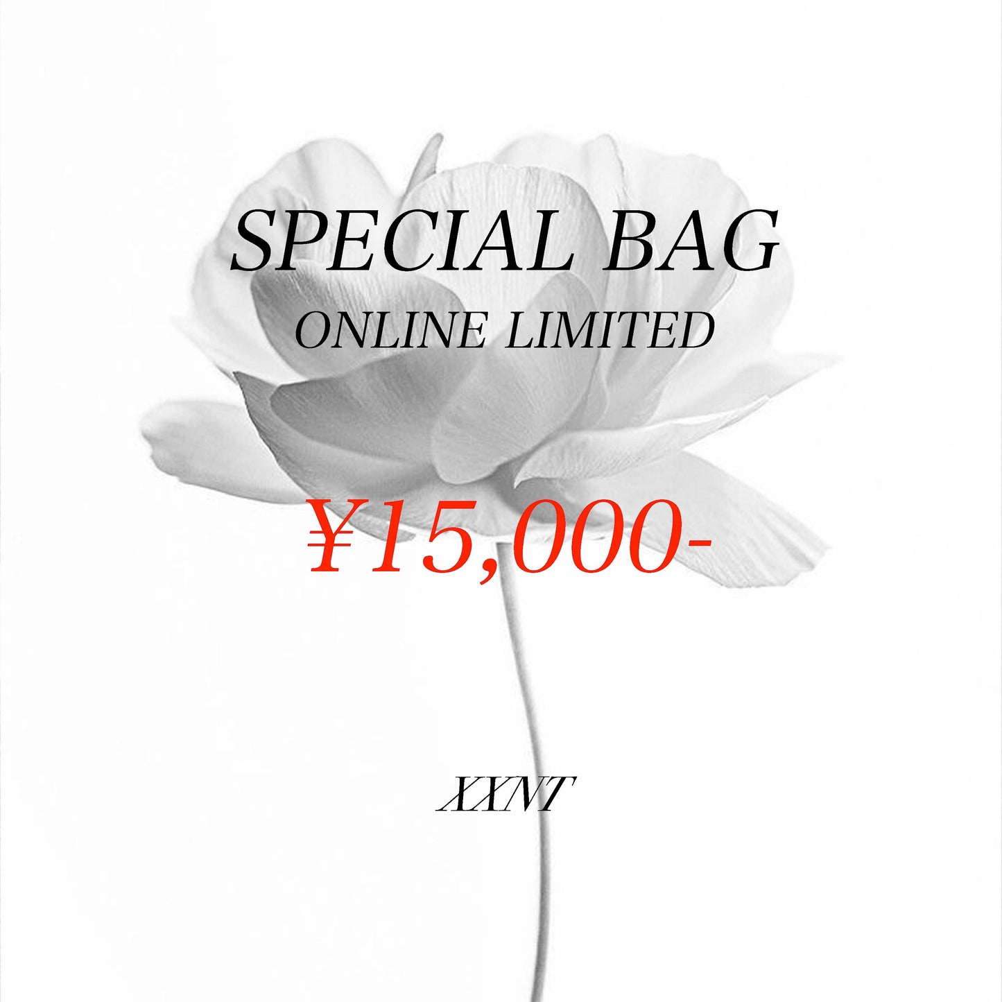 SPECIAL BAG (L-XL,W34- 相当)