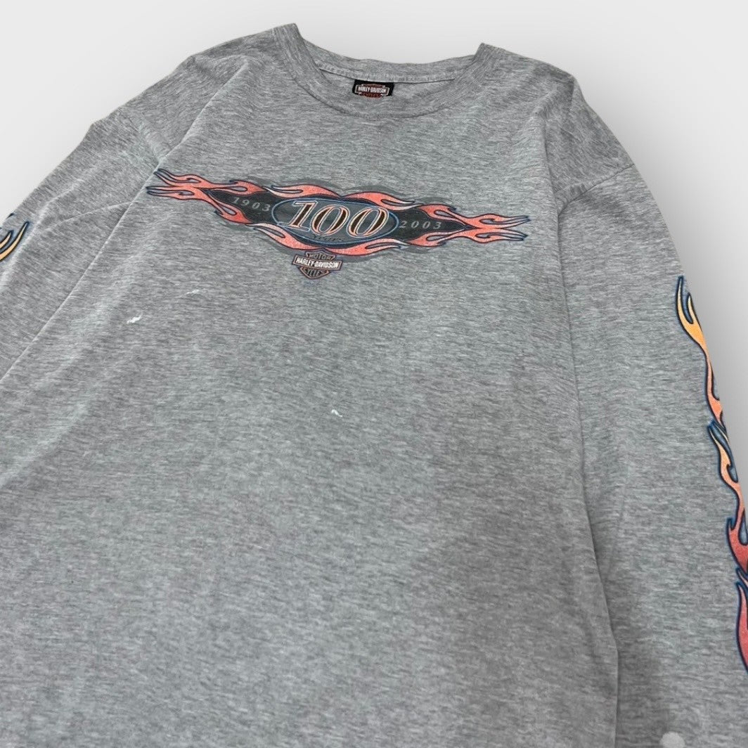 00's "HARLEY-DAVIDSON"
L/s tee