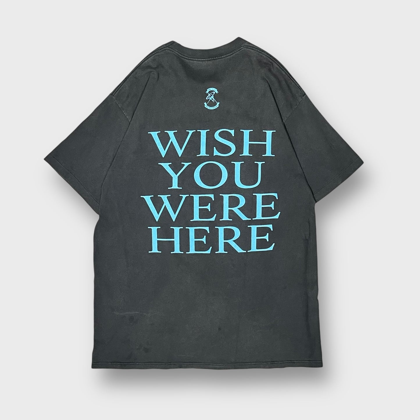 90’s PINK FLOYD “WISH YOU WERE HERE”album t-shirt