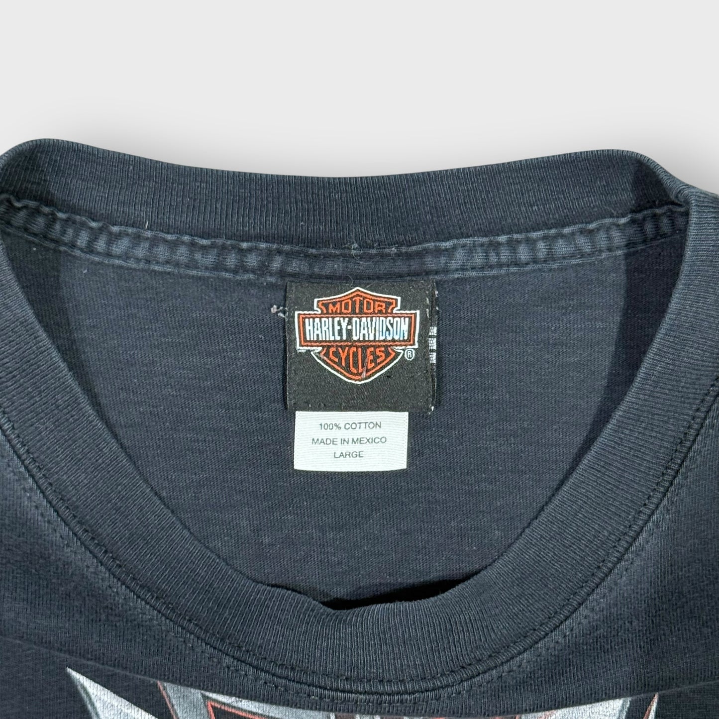 00’s “HARLEY DAVIDSON” flame pattern l/s t-shirt