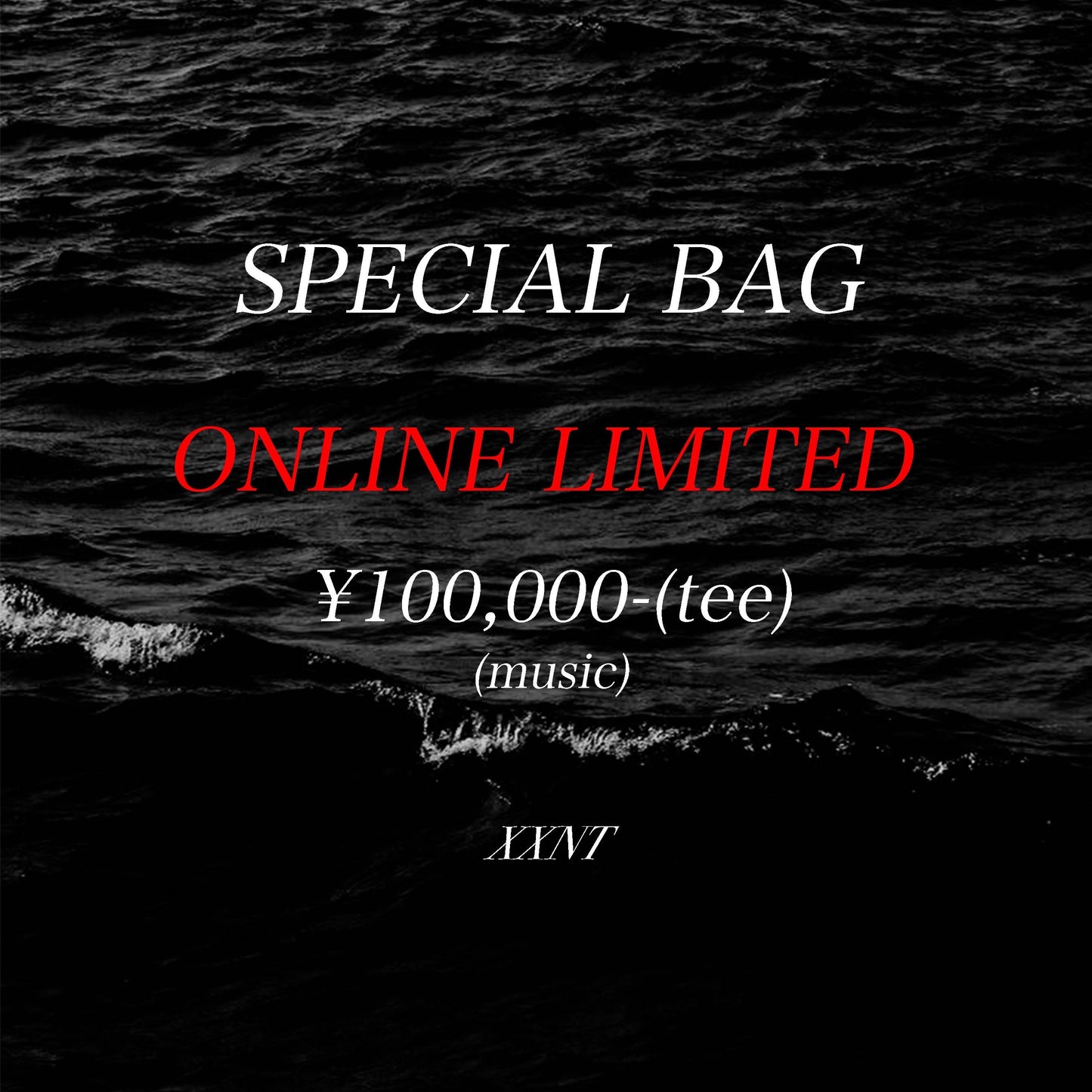 SPECIAL BAG vintage music t-shirt(L-XL, 相当)