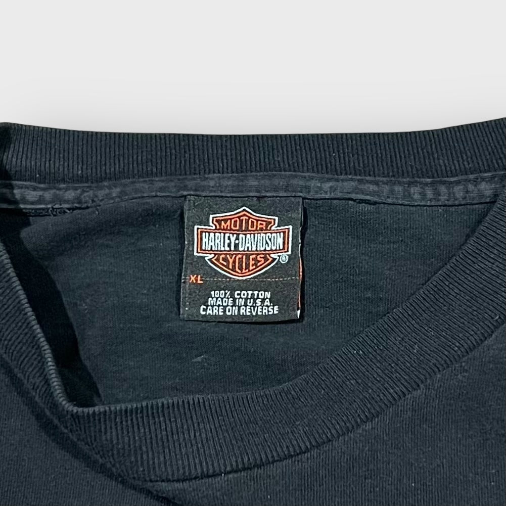 00’s “HARLEY-DAVIDSON”
“Thunder” I/s t-shirt