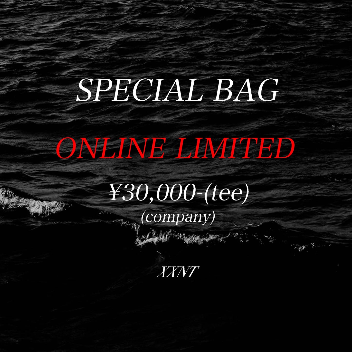 SPECIAL BAG vintage company t-shirt(L-XL相当)