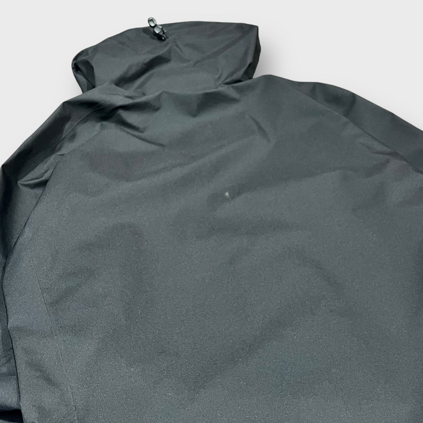 00’s “ARC'TERYX” beta jacket