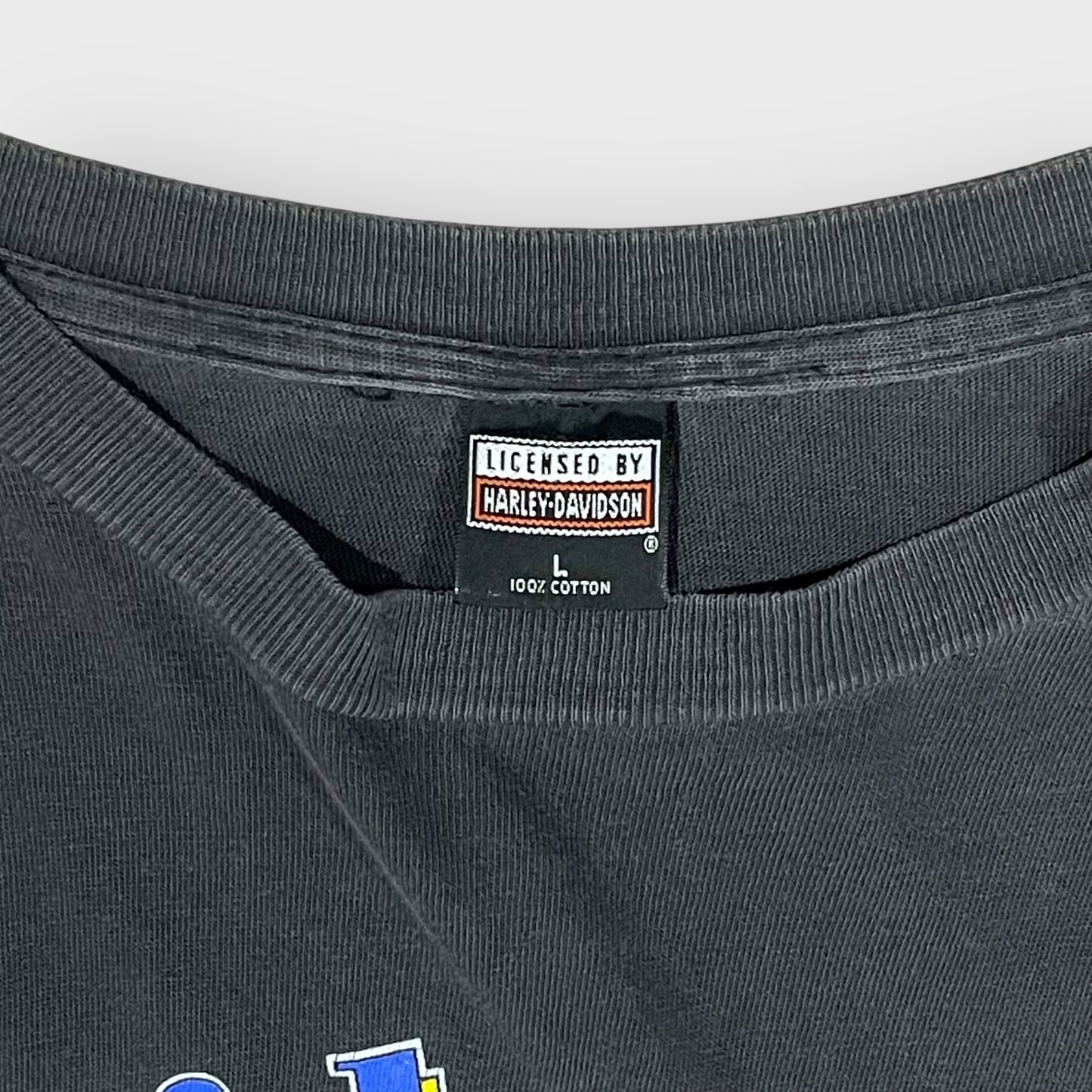 90’-00’s “HARLEY DAVIDSON” t-shirt