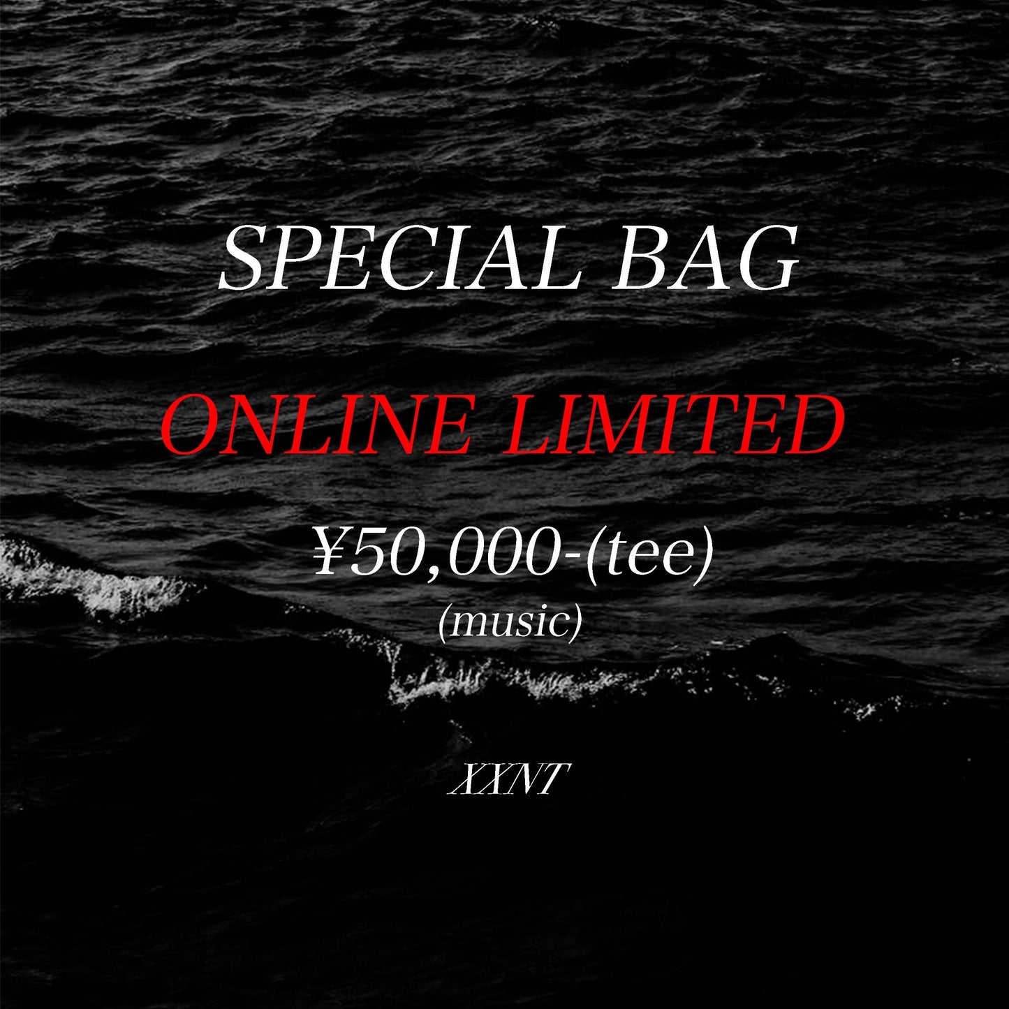 SPECIAL BAG vintage music t-shirt(L-XL相当)