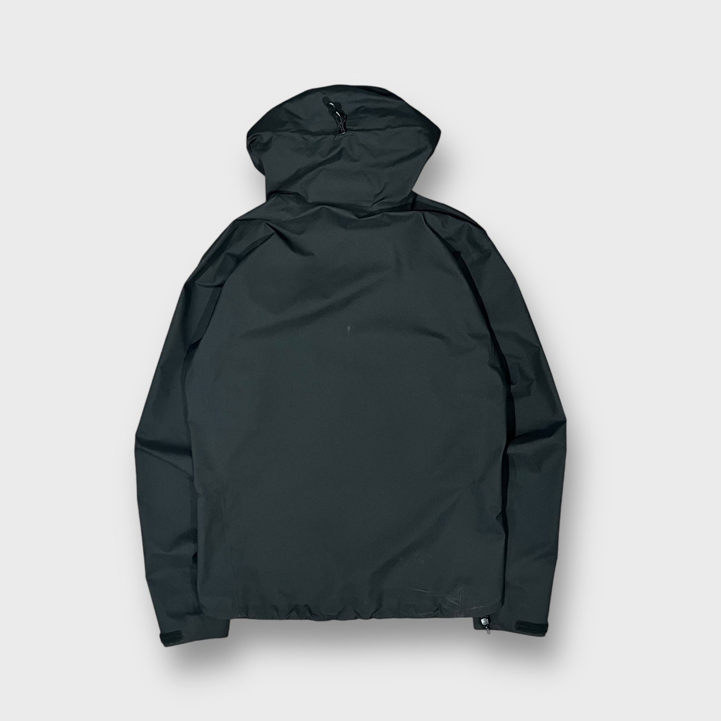 00’s “ARC'TERYX” beta jacket
