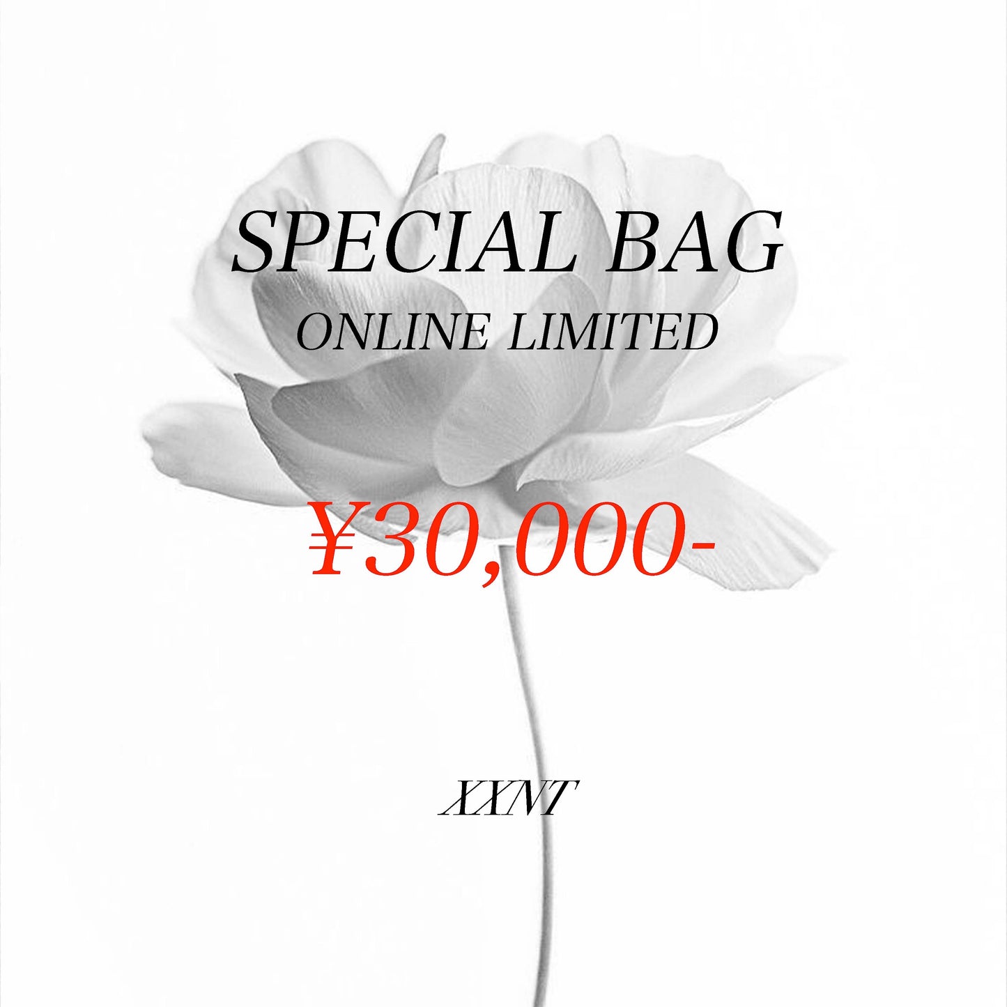 SPECIAL BAG (L-XL,W34- 相当)