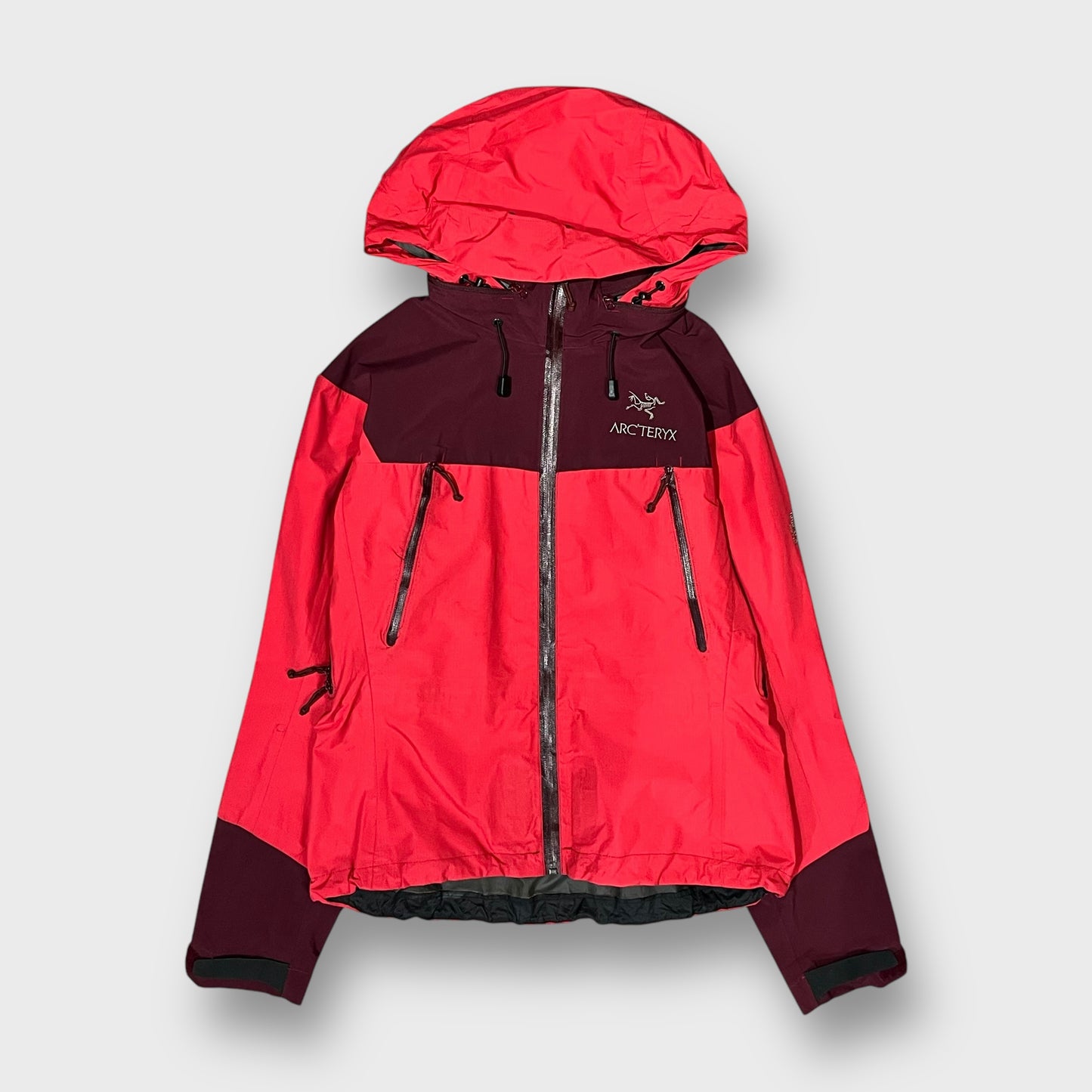 00’s “ARC'TERYX” beta ar jacket