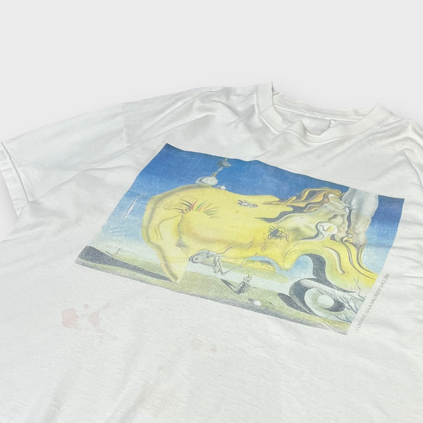 2001 Salvador Dali
“The Great Masturbator” art t-shirt