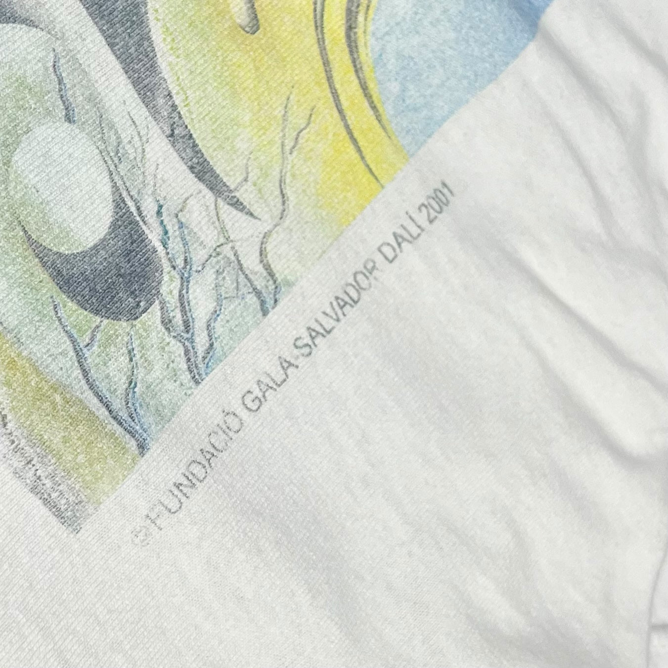 2001 Salvador Dali
“The Great Masturbator” art t-shirt