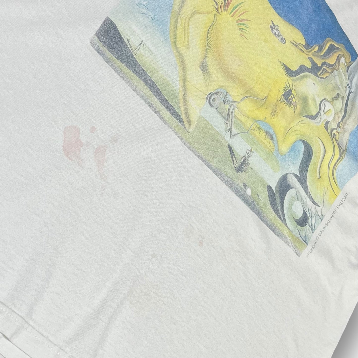 2001 Salvador Dali
“The Great Masturbator” art t-shirt