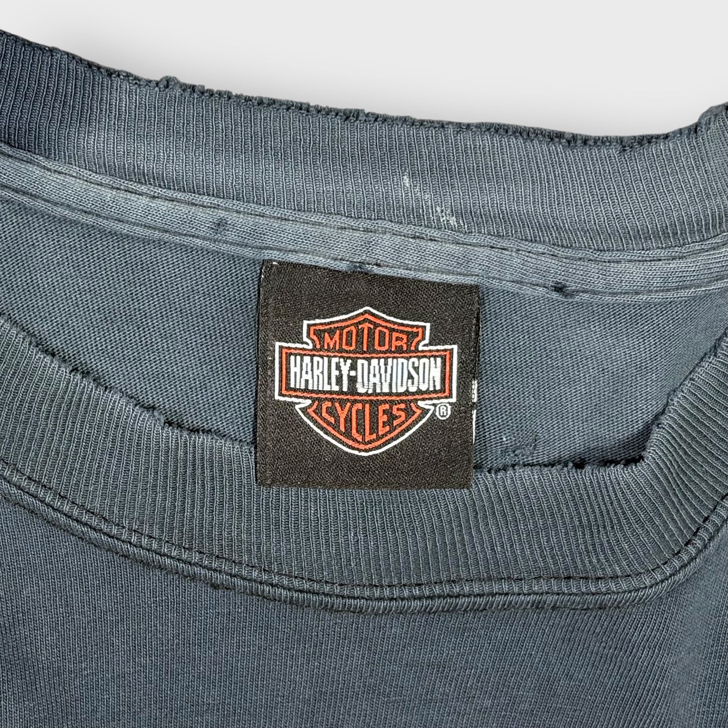 00’s “HARLEY DAVIDSON” flame pattern l/s t-shirt