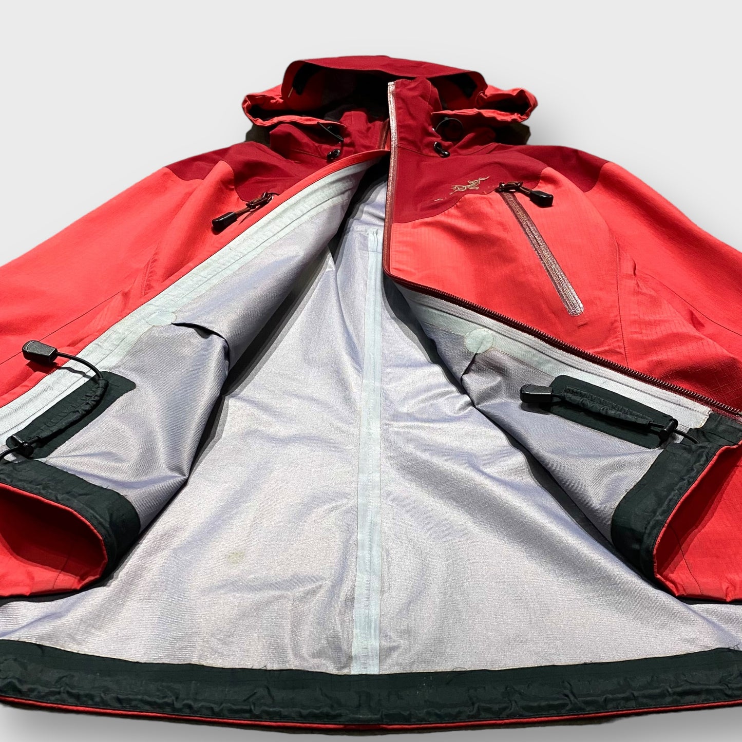 00's "ARC'TERYX" Beta AR jacket