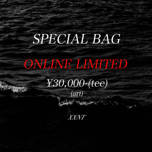 SPECIAL BAG vintage art t-shirt（L-XL相当）