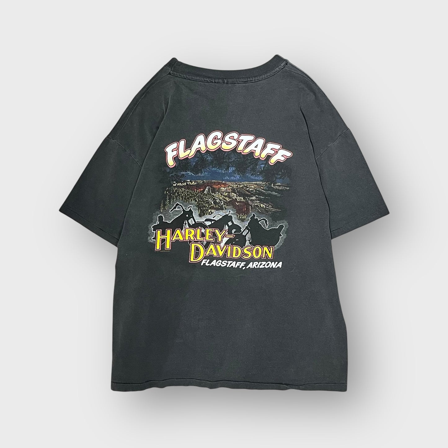 90’s “HARLEY DAVIDSON”t-shirt