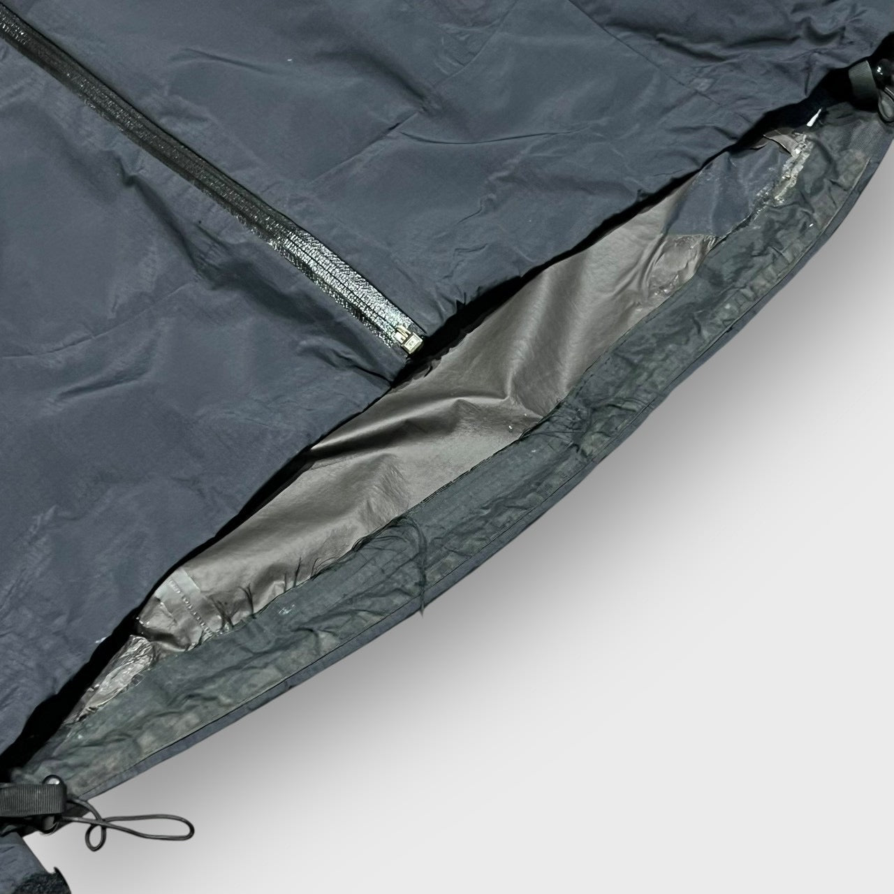 00’s “ARC’TERYX” beta lt jacket