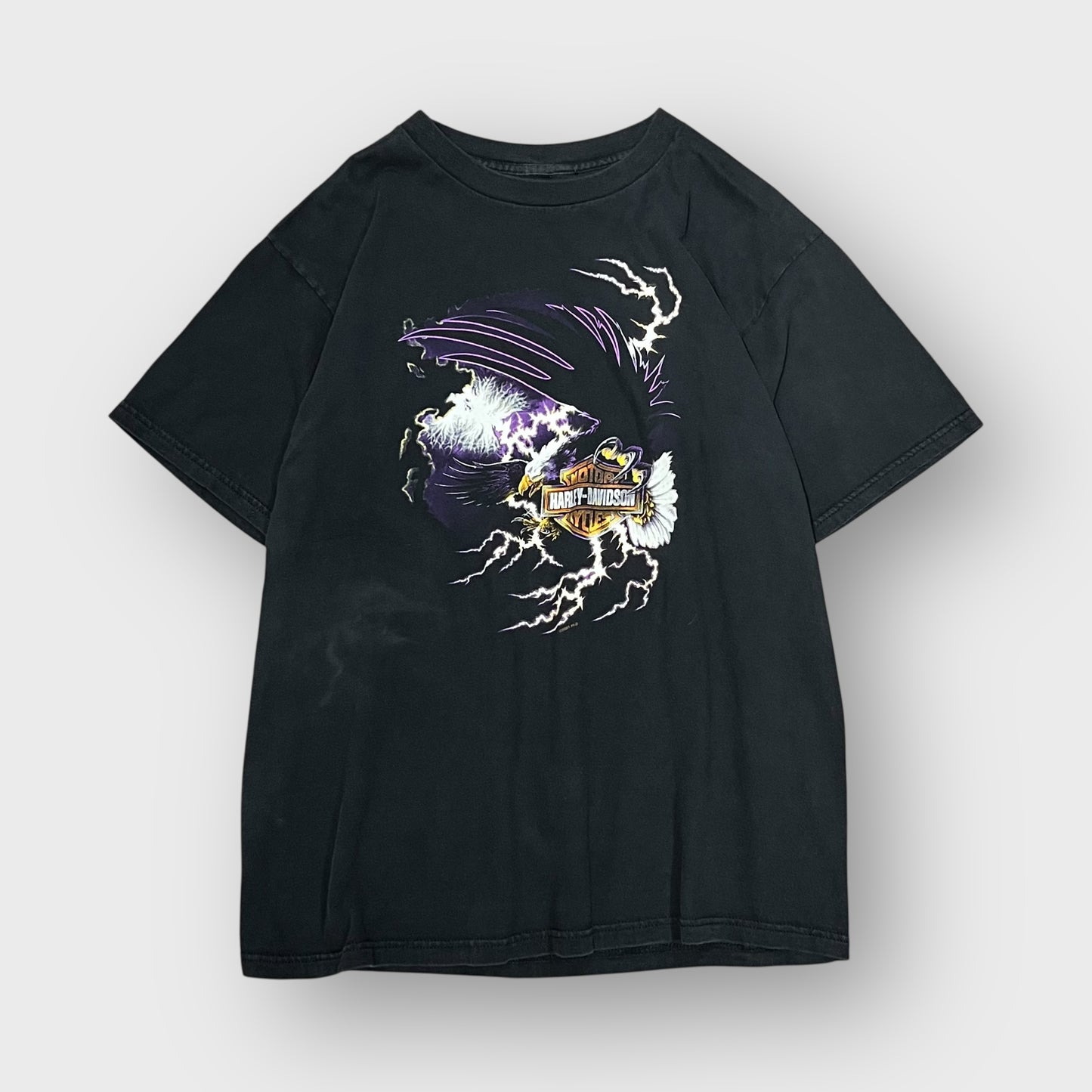 00’s “HARLEY DAVIDSON” t-shirt