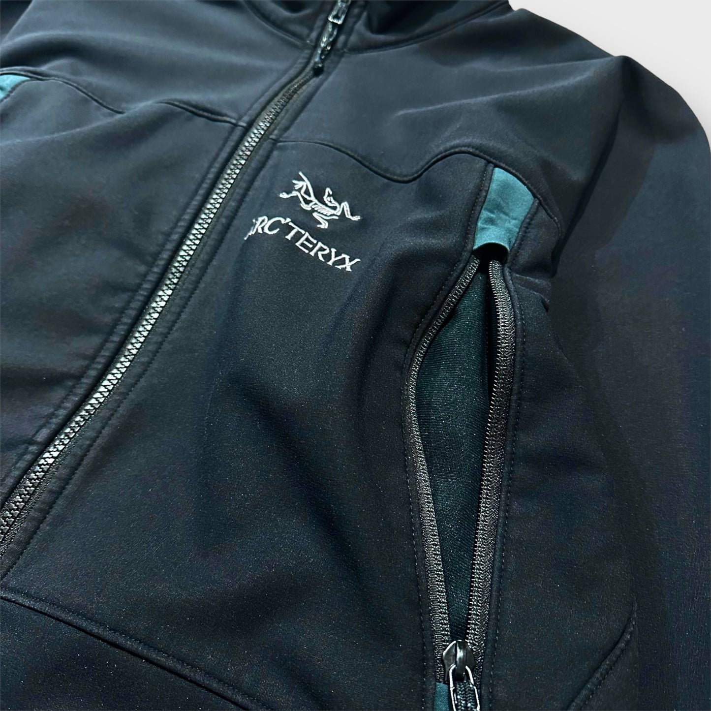 00's "Arc'teryx" Gamma jacket