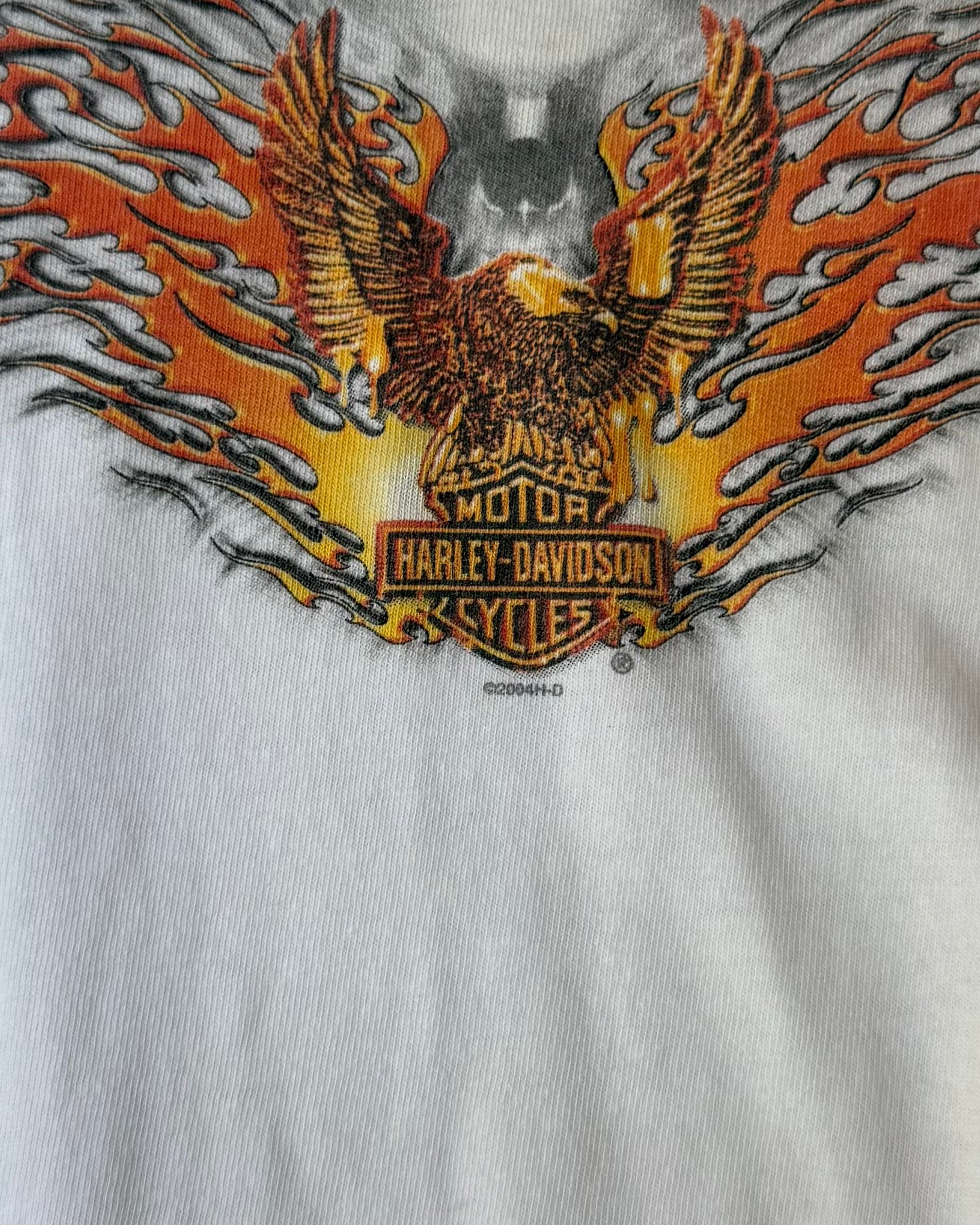 00’s “HARLEY DAVIDSON” flame pattern l/s t-shirt LARGE