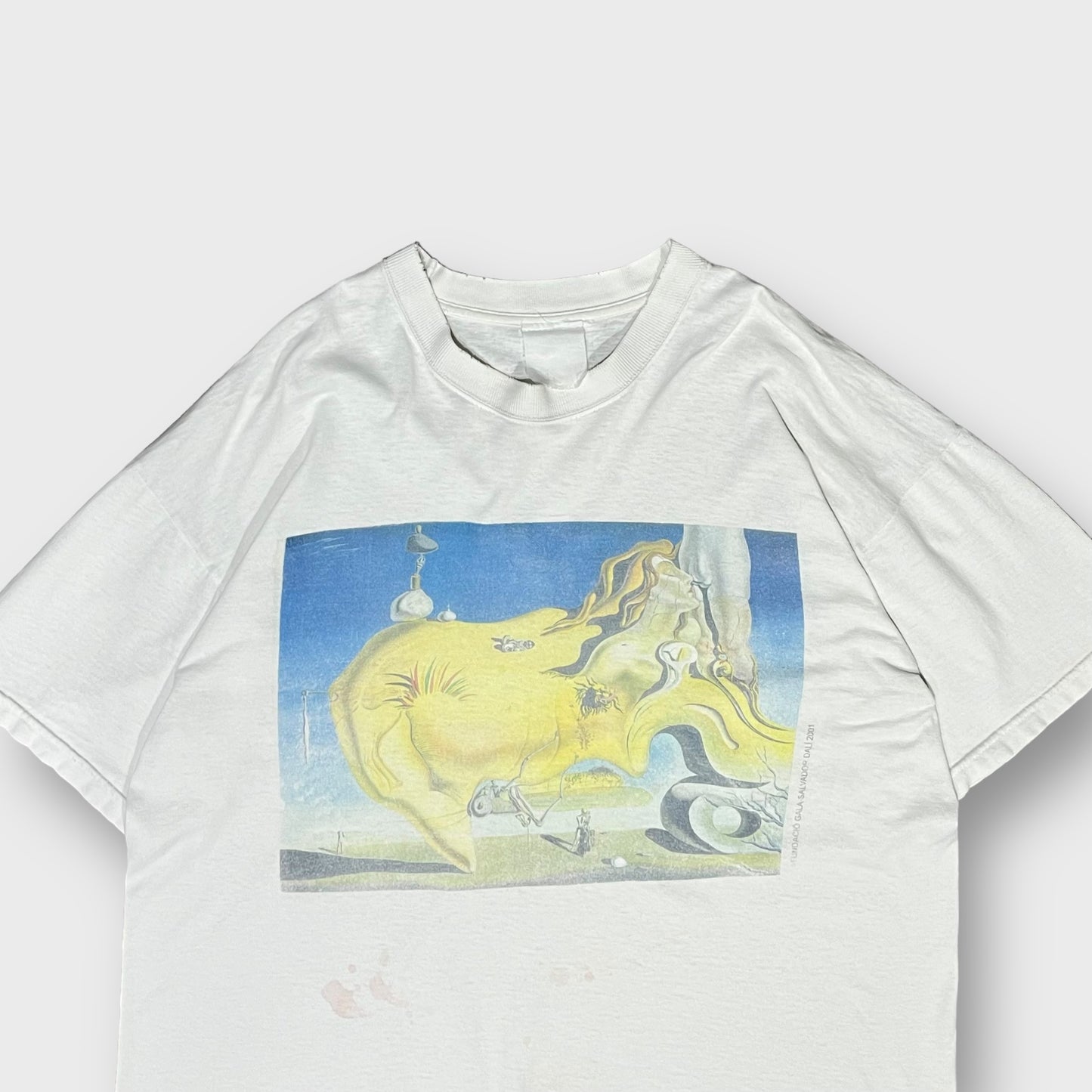 2001 Salvador Dali
“The Great Masturbator” art t-shirt