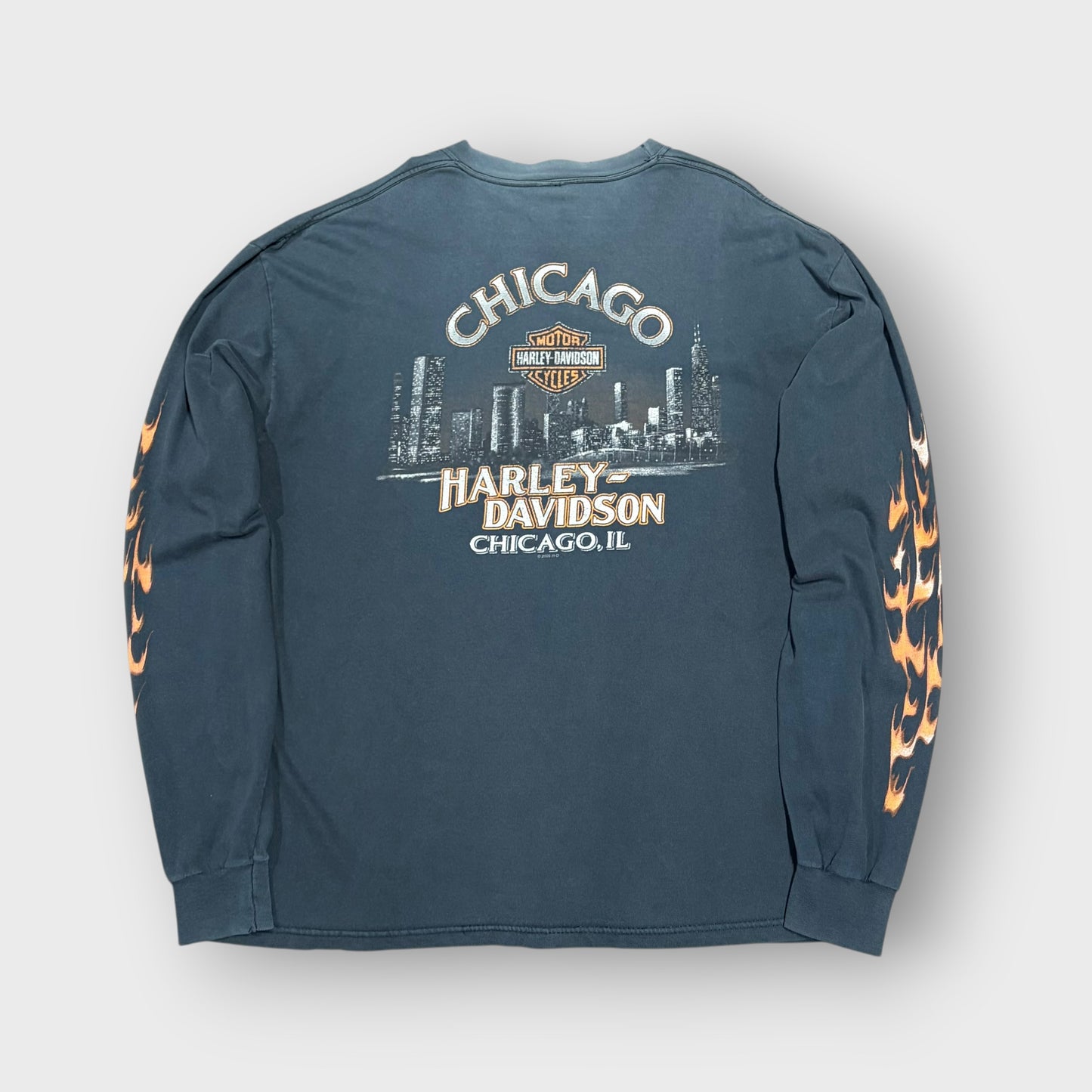 00’s “HARLEY DAVIDSON” flame pattern l/s t-shirt