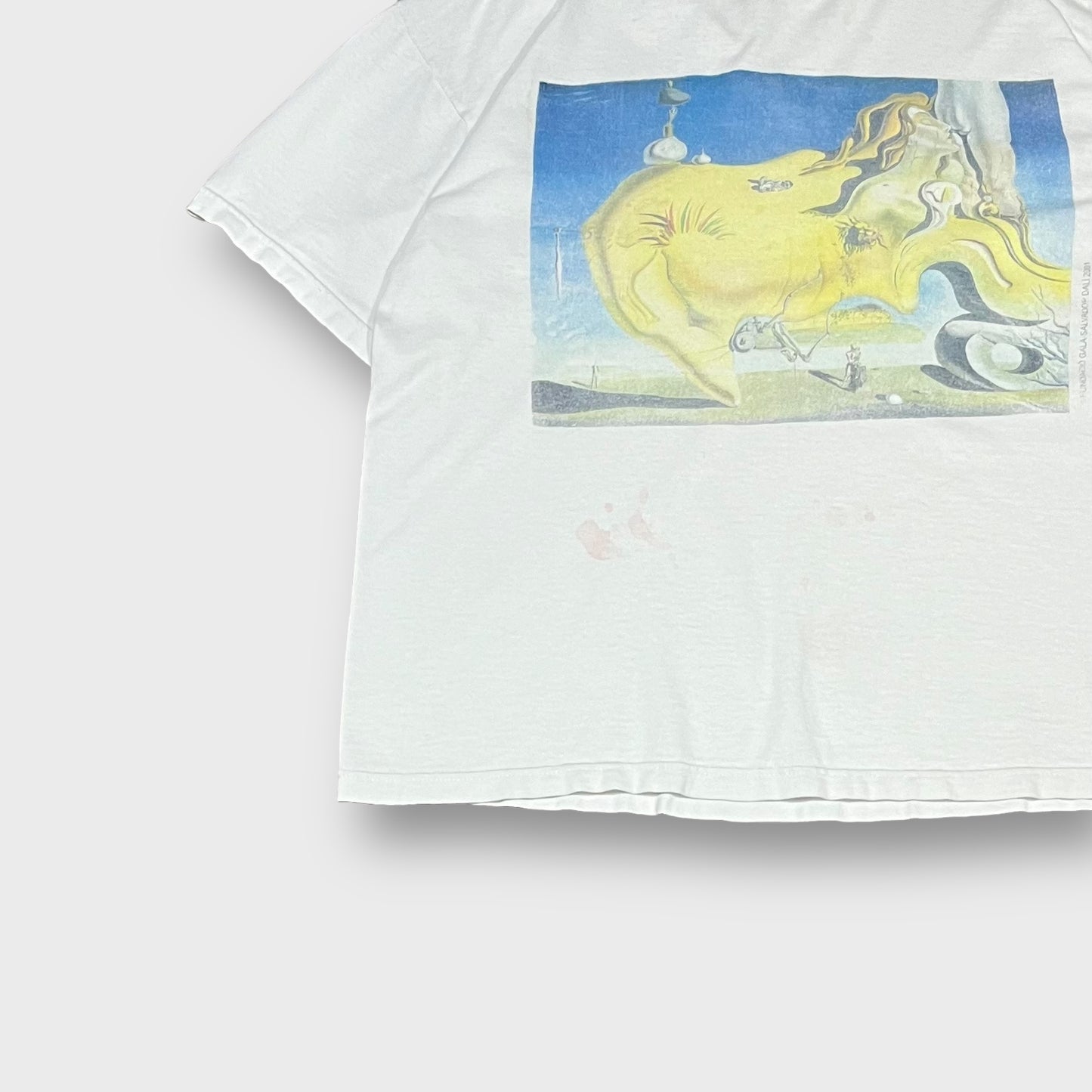 2001 Salvador Dali
“The Great Masturbator” art t-shirt