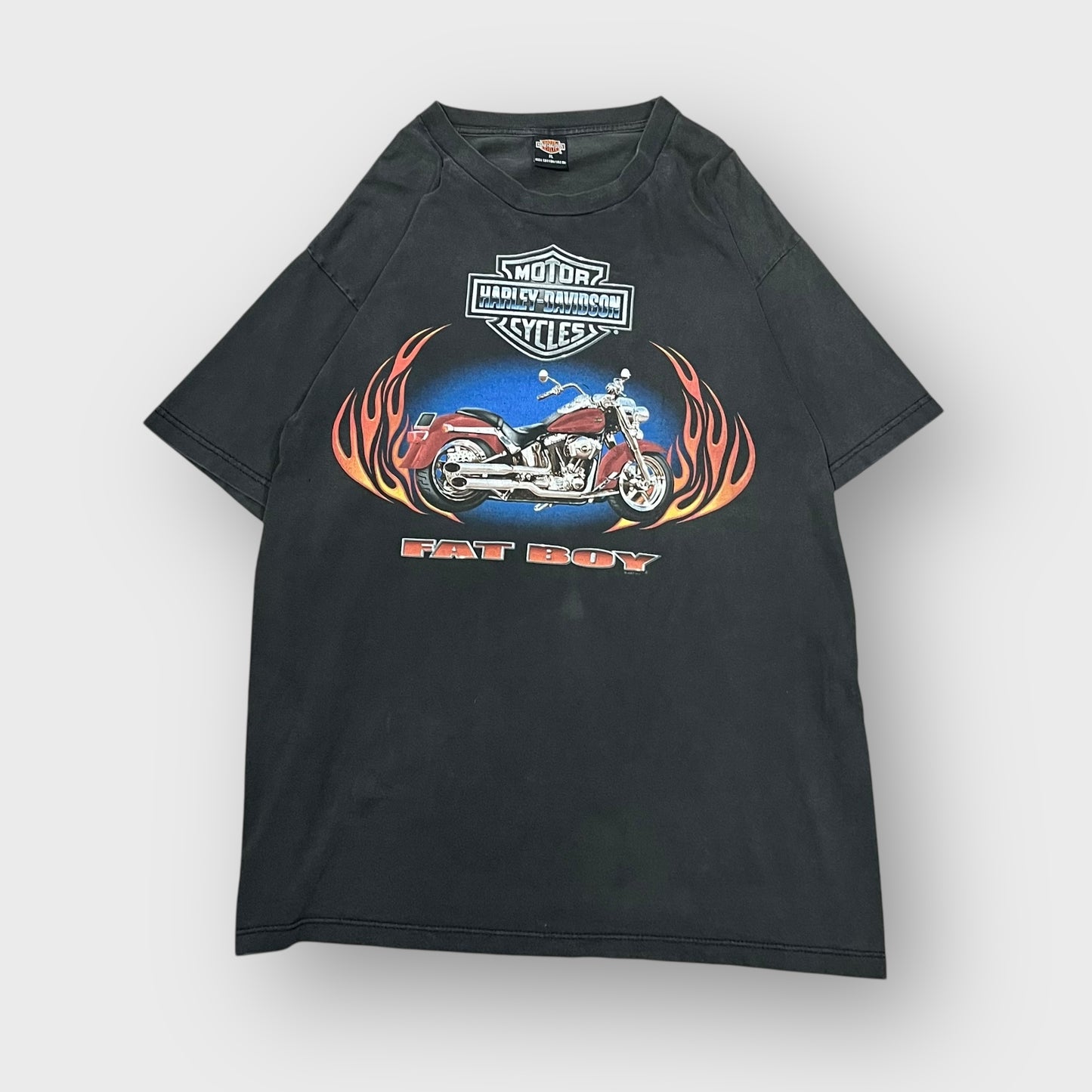 00’s “HARLEY DAVIDSON” t-shirt