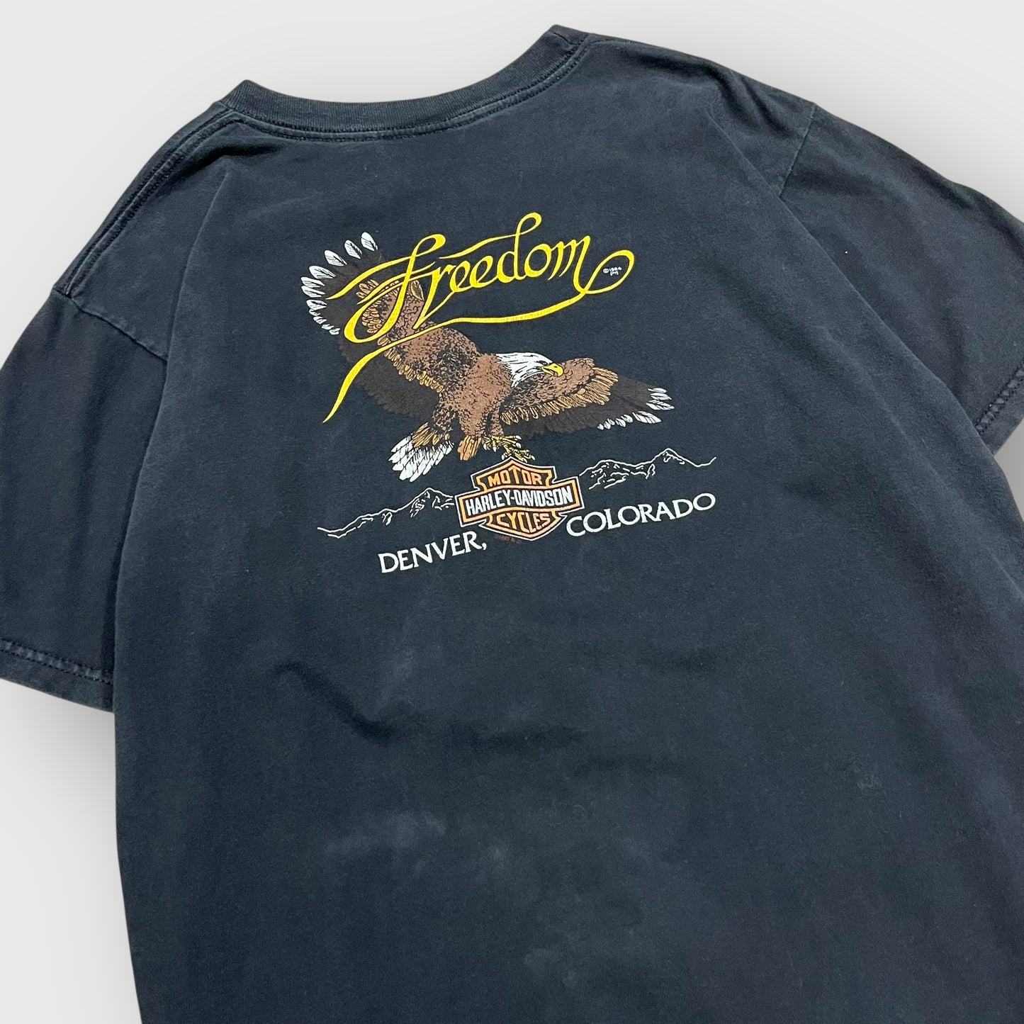 00’s “HARLEY DAVIDSON” t-shirt