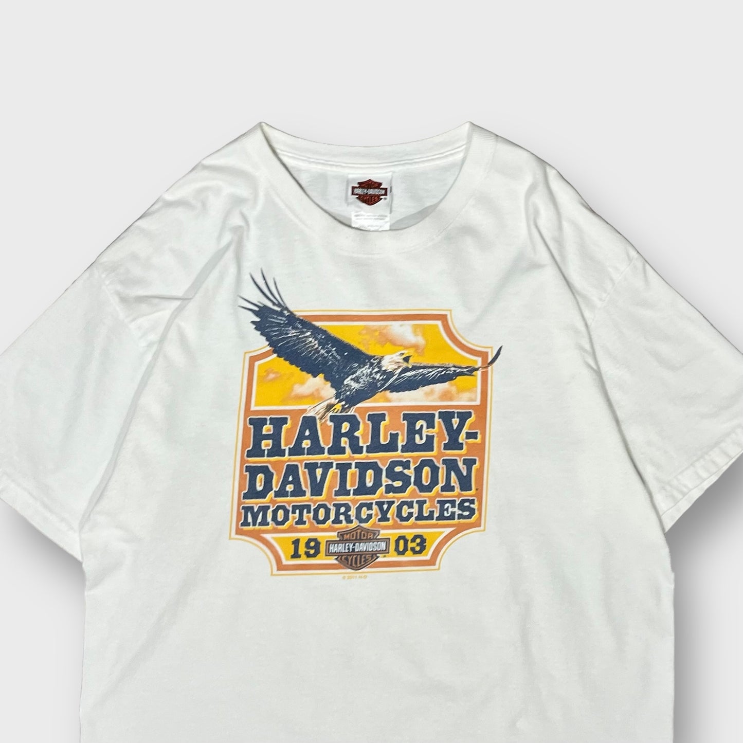 00’s “HARLEY DAVIDSON”  t-shirt