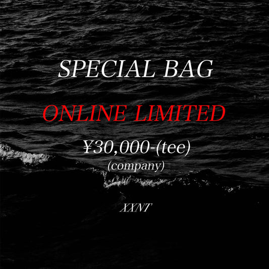 SPECIAL BAG vintage company t-shirt（L-XL相当）