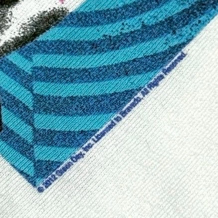 00’s “GREEN DAY”
band t-shirt