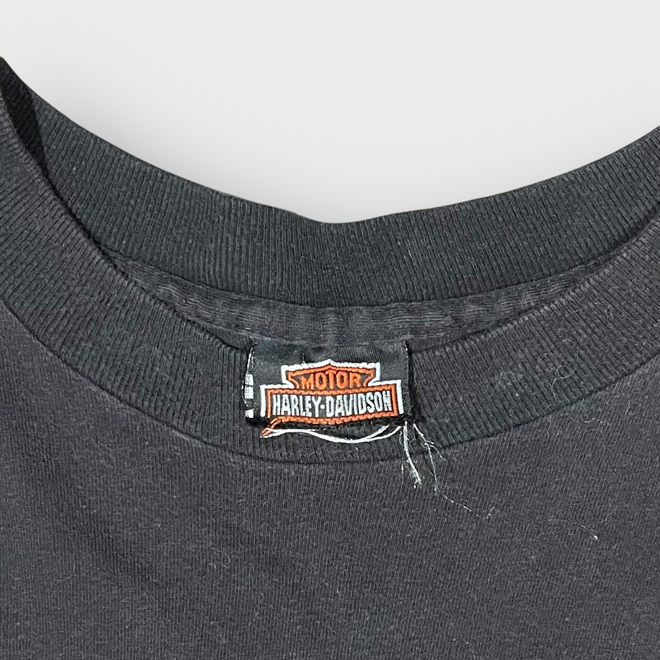 90’s “HARLEY DAVIDSON” framepattern l/s tee