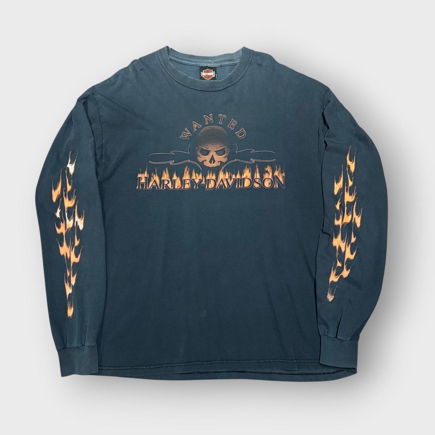 00’s “HARLEY DAVIDSON” flame pattern l/s t-shirt