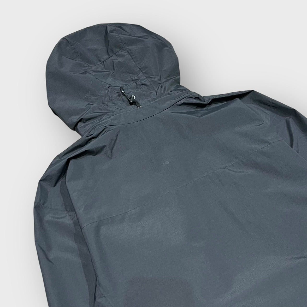 00’s “ARC’TERYX” beta lt jacket