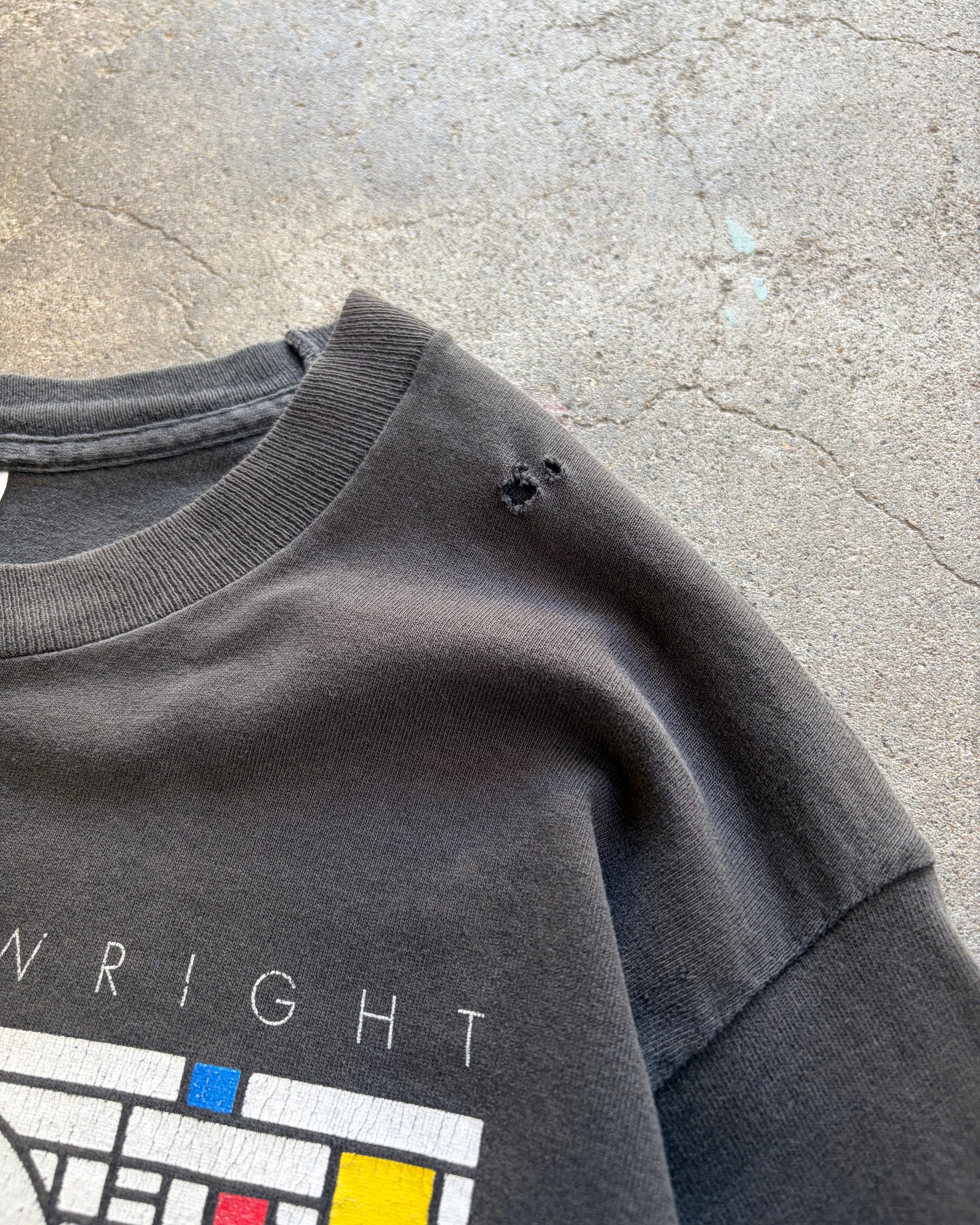 90’s “Frank Lloyd Wright” art t-shirt large