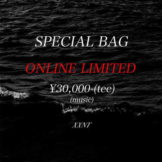 SPECIAL BAG vintage music t-shirt（L-XL相当）
