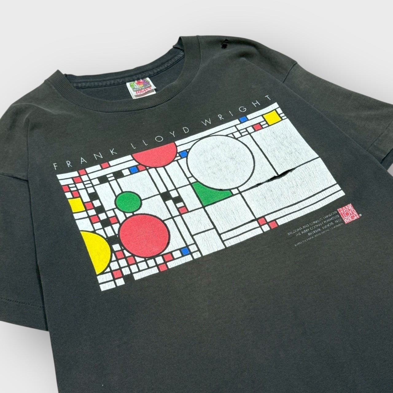 90's “Frank Lloyd Wright” art t-shirt – XXNT