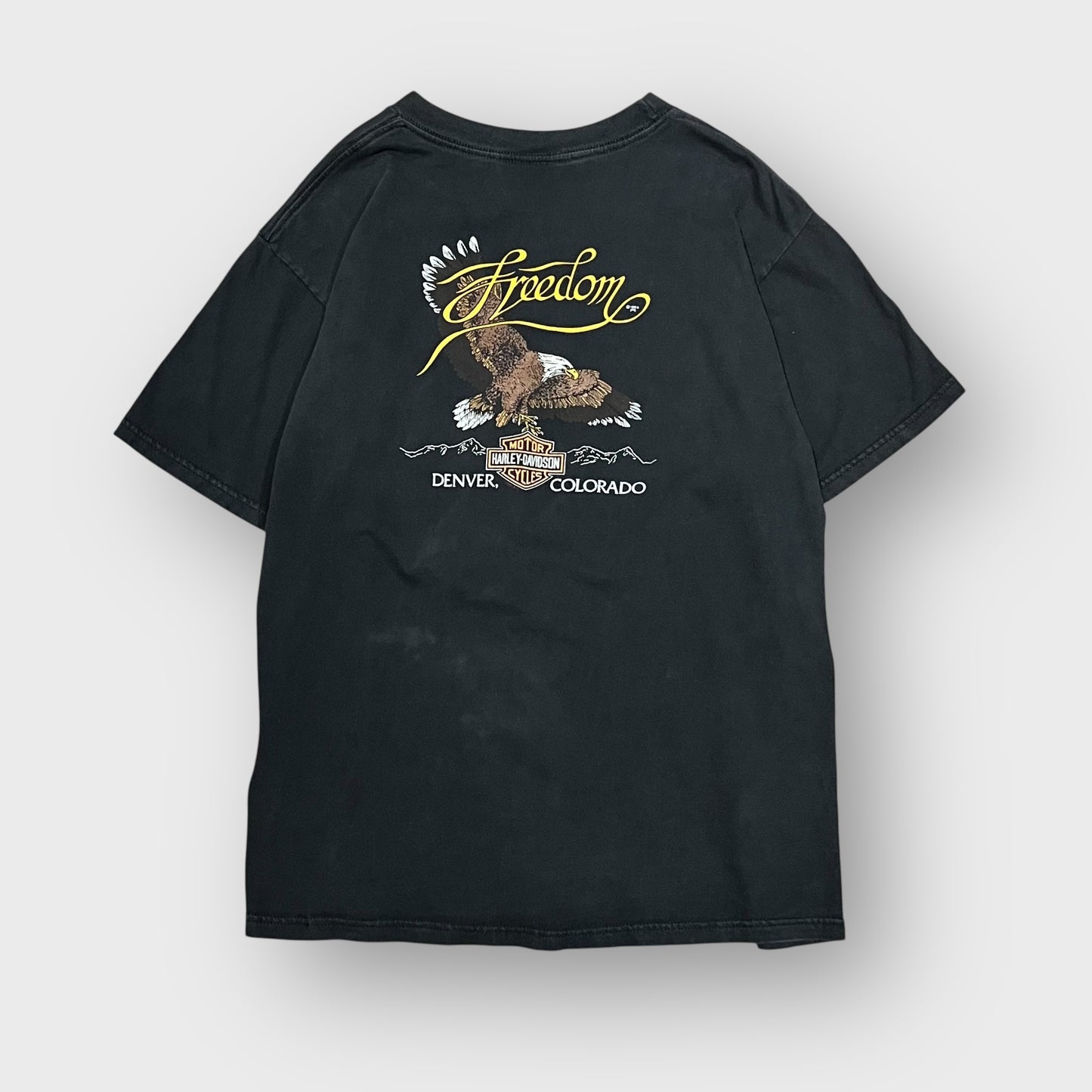 00’s “HARLEY DAVIDSON” t-shirt