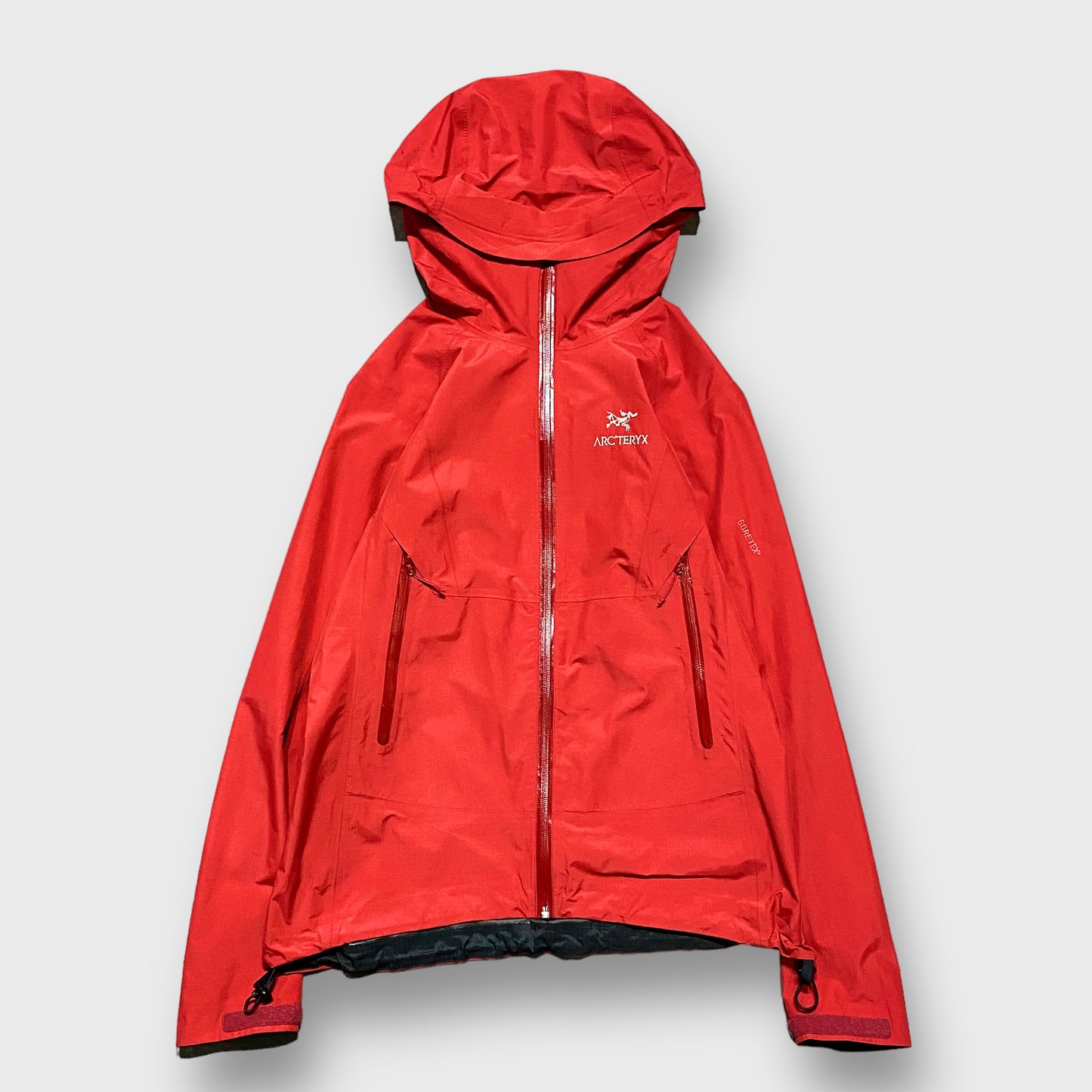 00's "Arc'teryx" Beta sl jacket