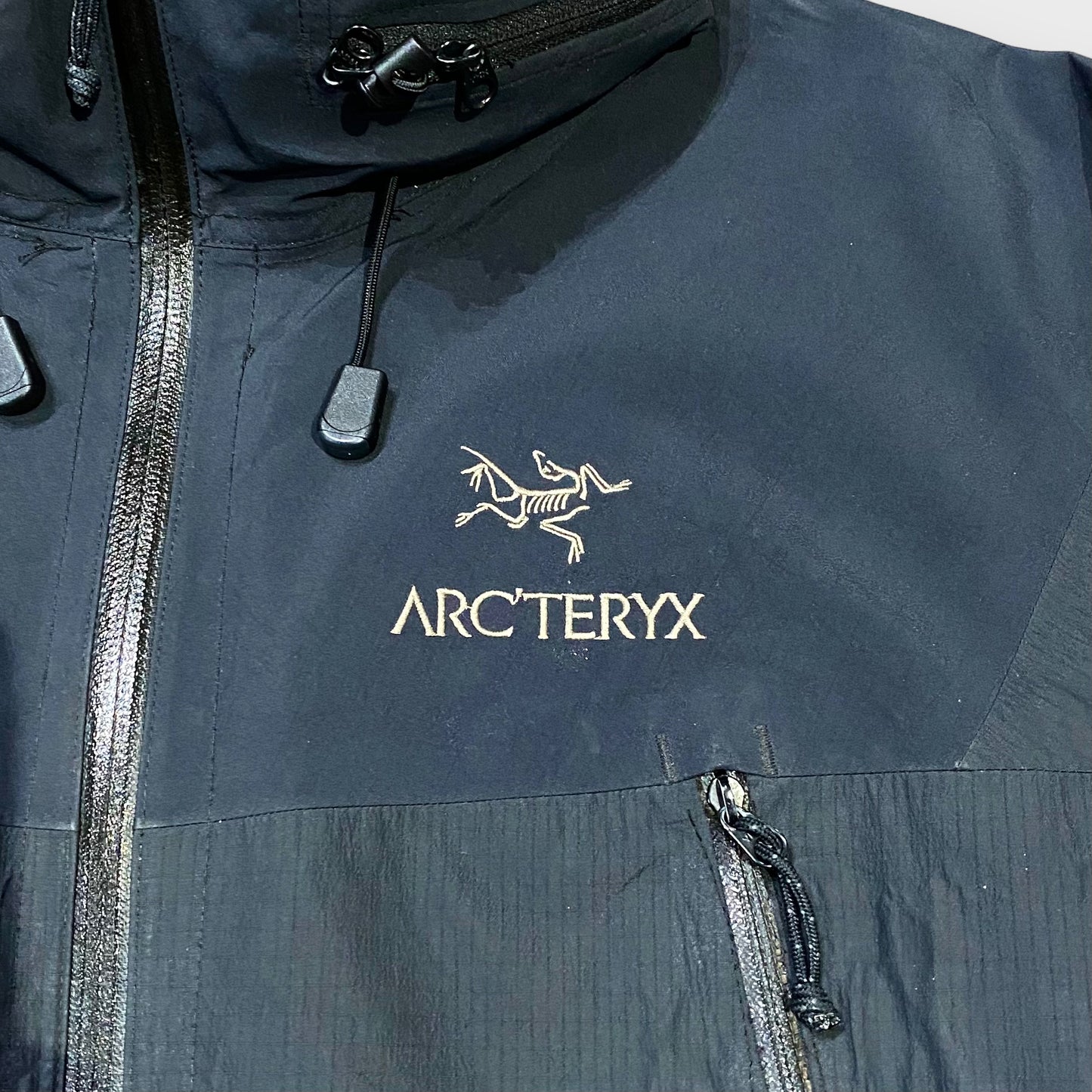 00's "ARC'TERYX" Theta SL jacket