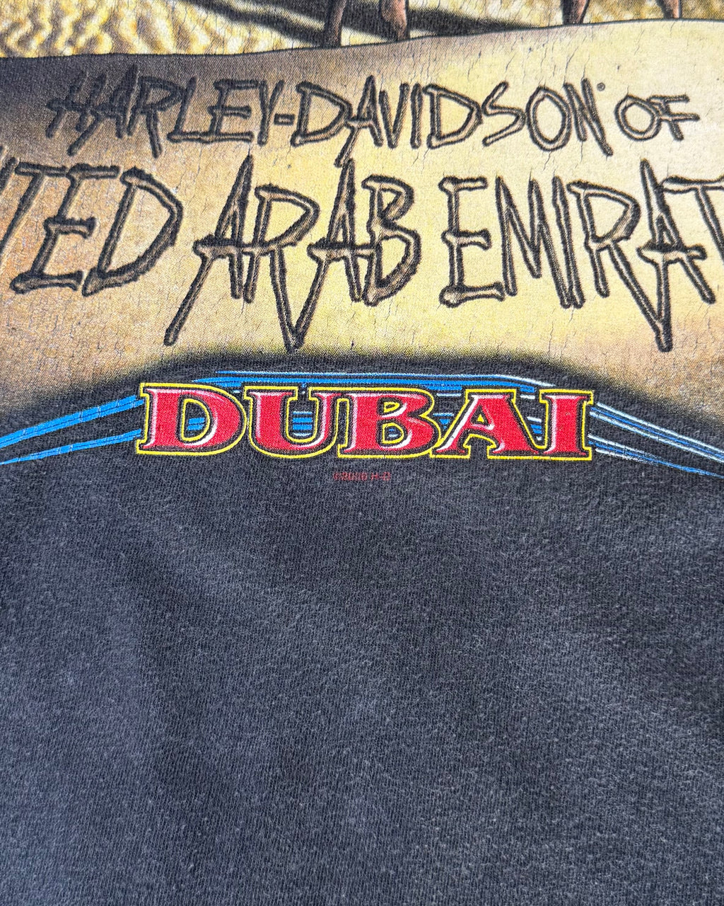 00’s “Harley-Davidson”
Flame pattern l/s t-shirt X-LARGE