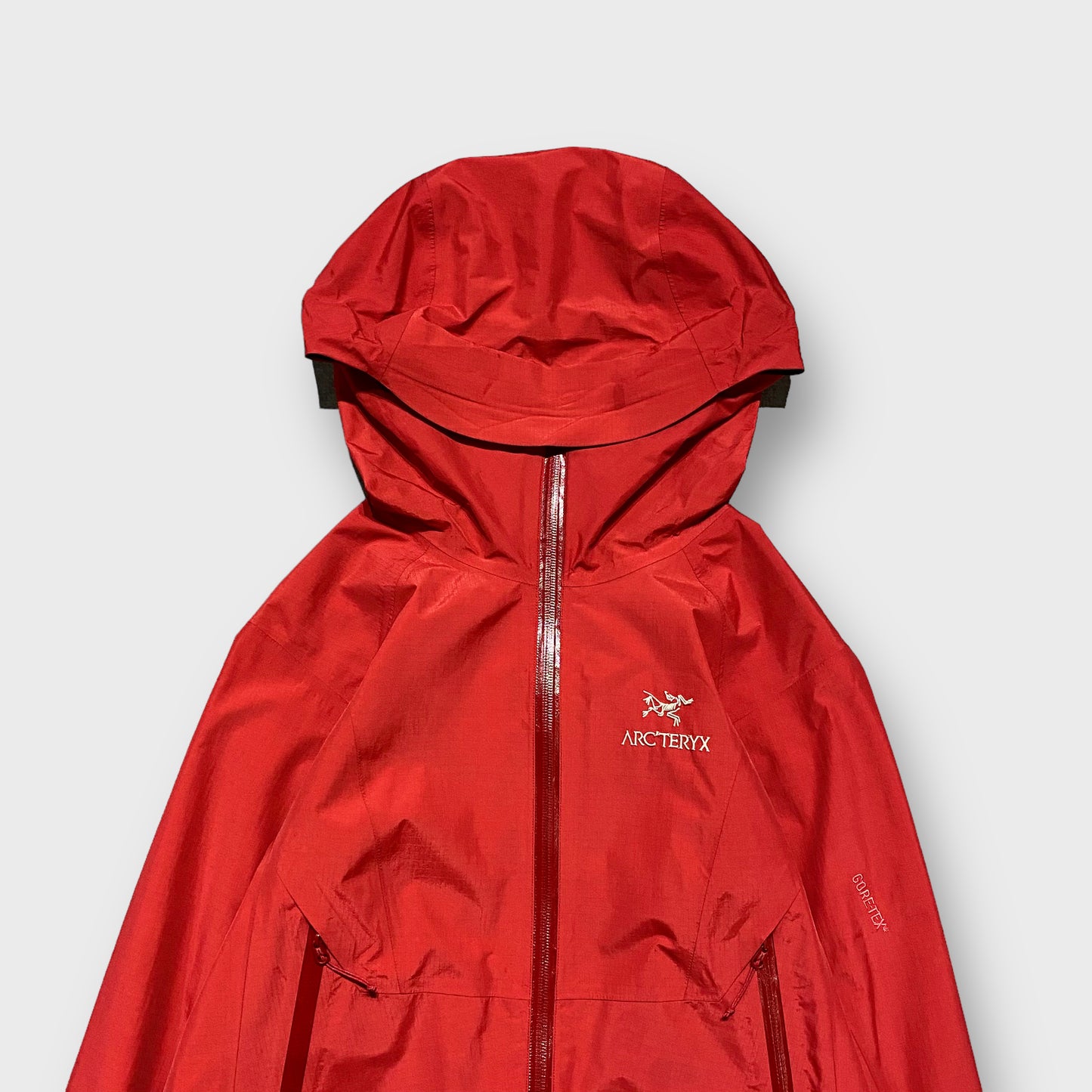 00's "Arc'teryx" Beta sl jacket