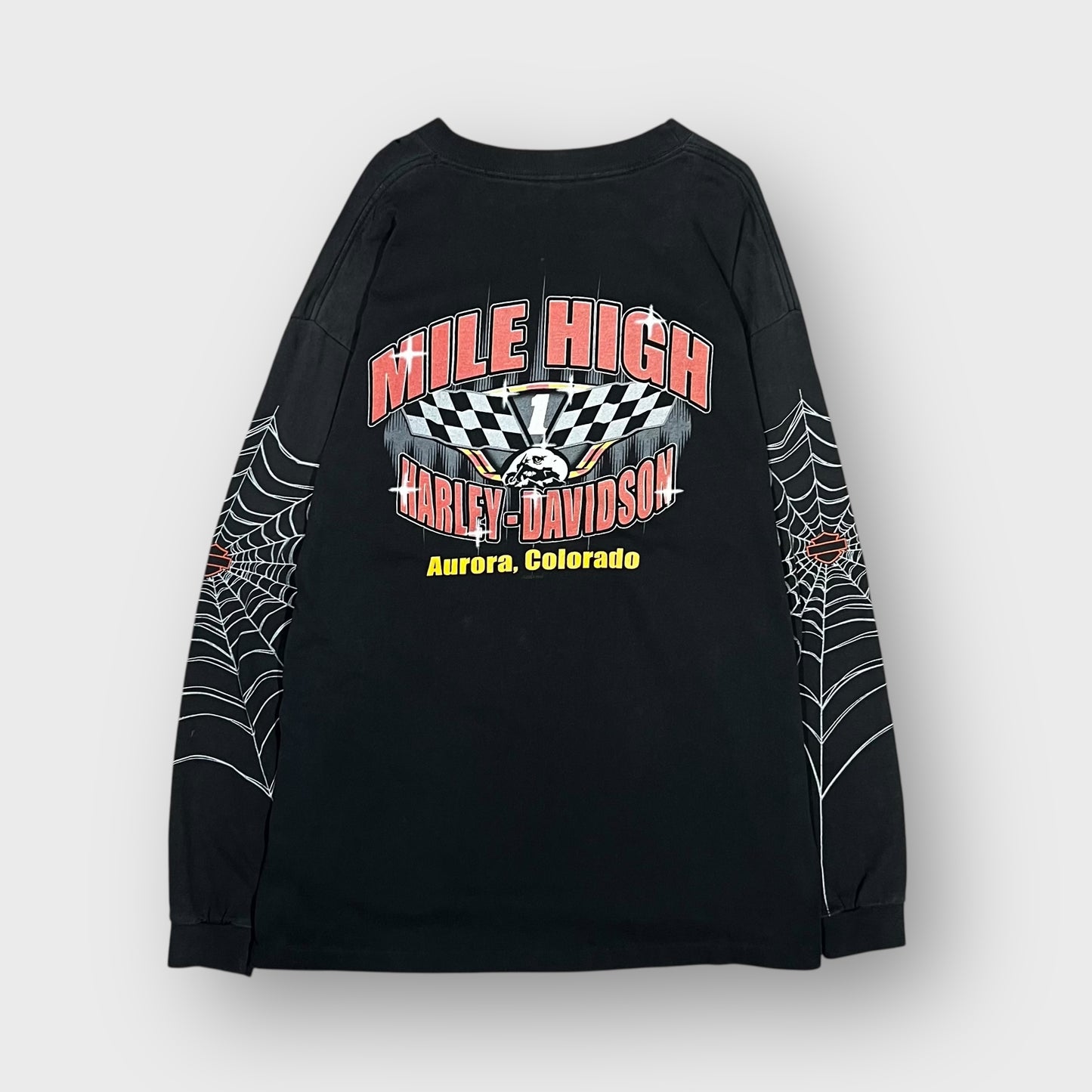 00’s “HARLEY-DAVIDSON”
spider web I/s t-shirt