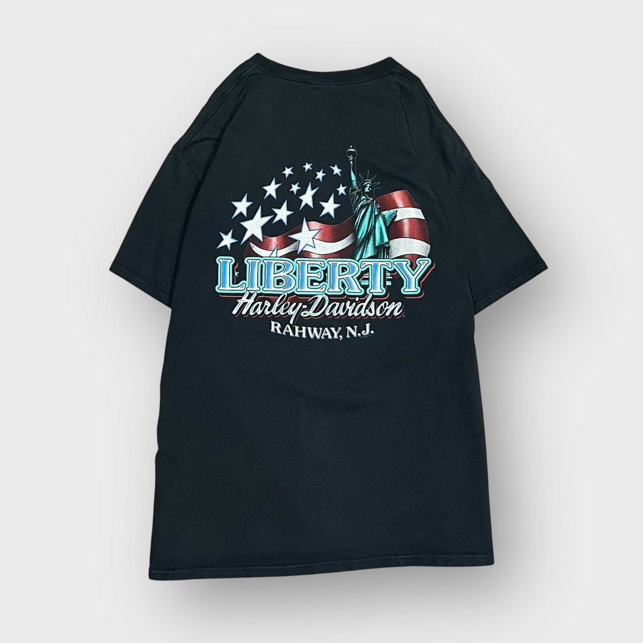 90's “HARLEY-DAVIDSON” print t-shirt – XXNT