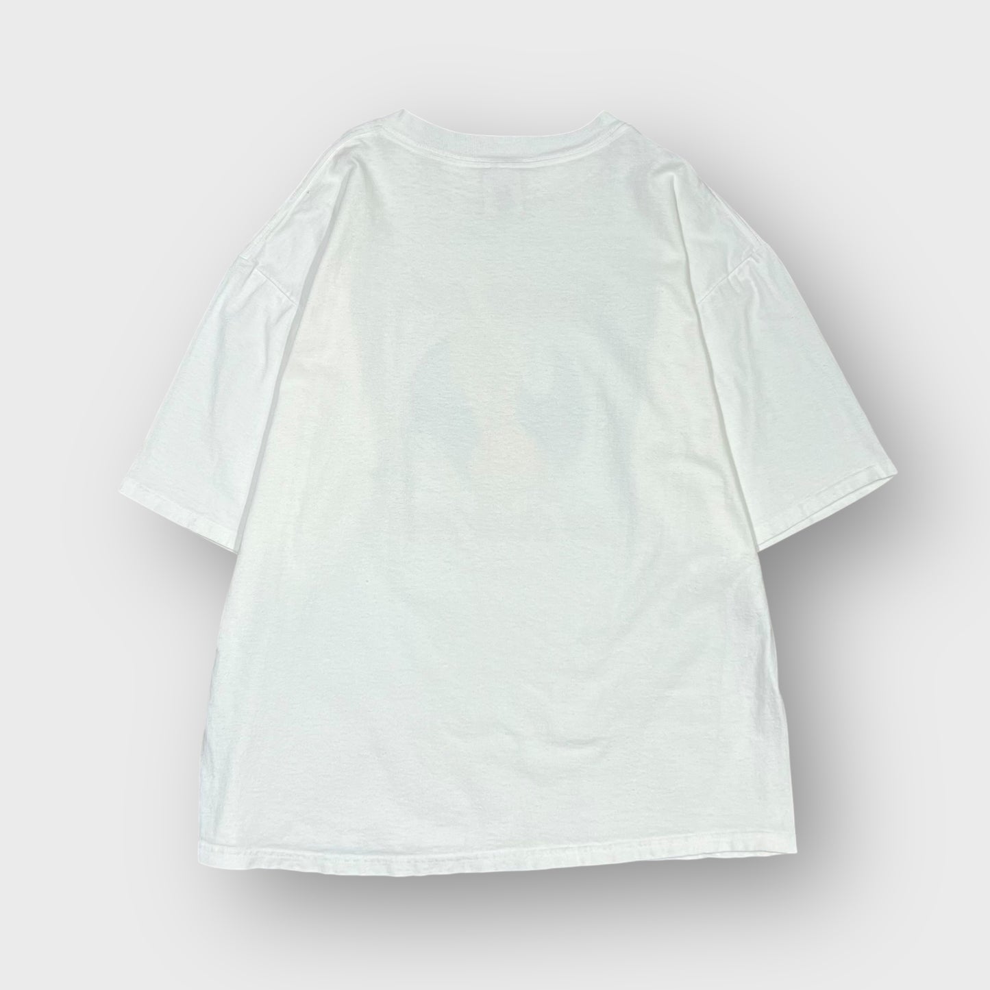 90’s-00’s erotic t-shirt