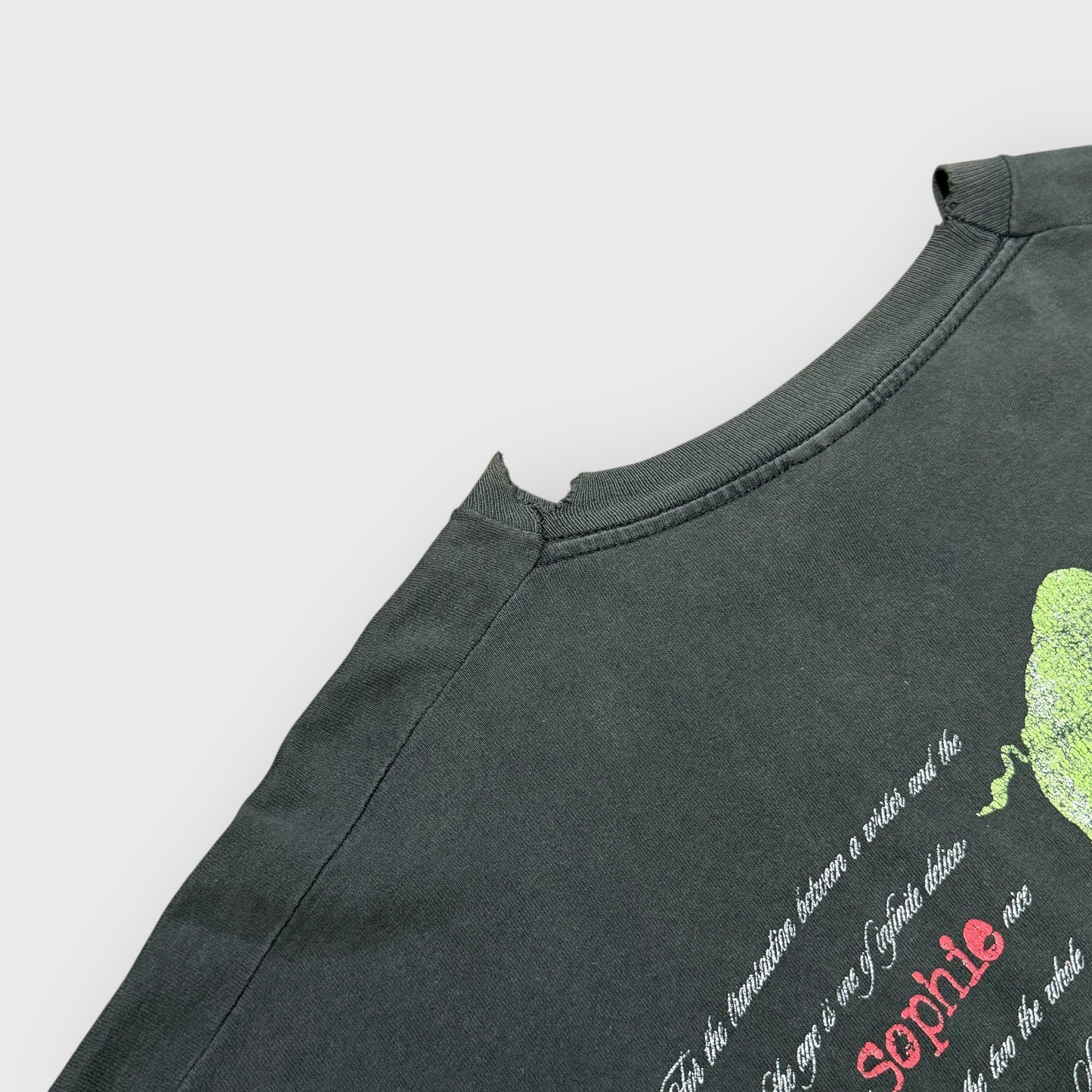 90’s “Sophie B. Hawkins” music t-shirt