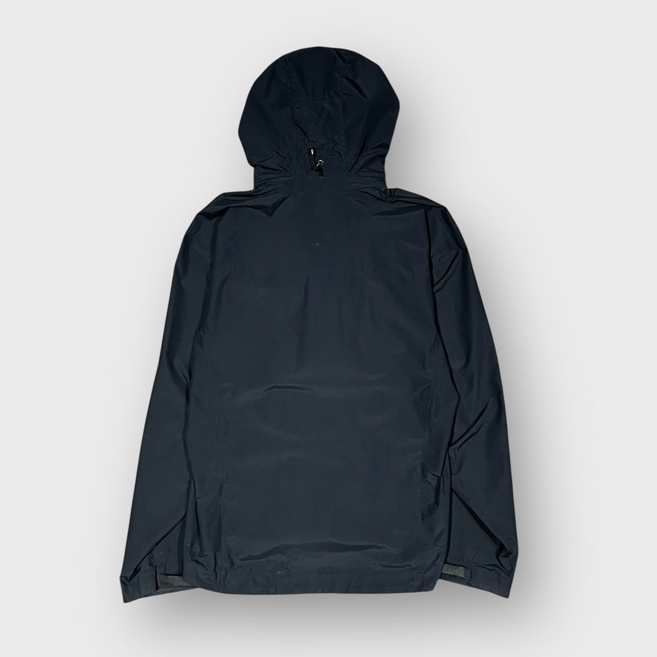 00’s “ARC’TERYX” beta lt jacket