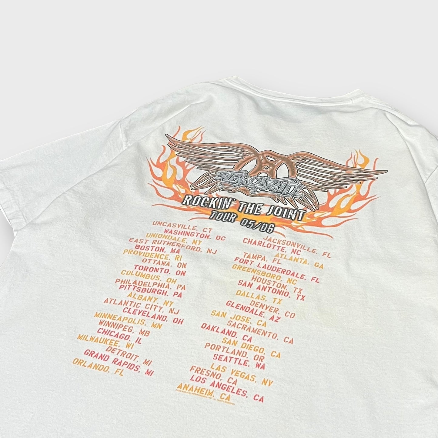 2005 AEROSMITH
“ROCKIN’THE JOINT” 05/06
tour t-shirt